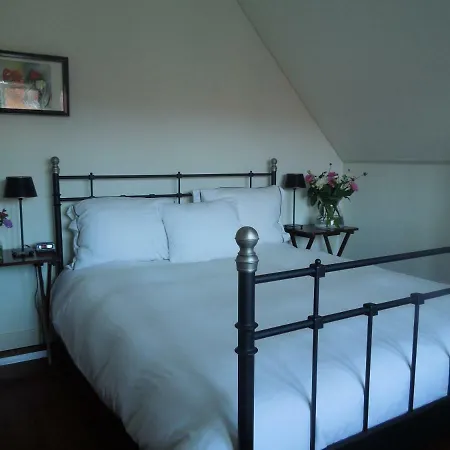 Frans Hals Bed & Breakfast Haarlem