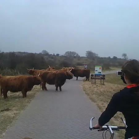 Bed & Breakfast Frans Hals