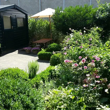 Bed & Breakfast Frans Hals Haarlem