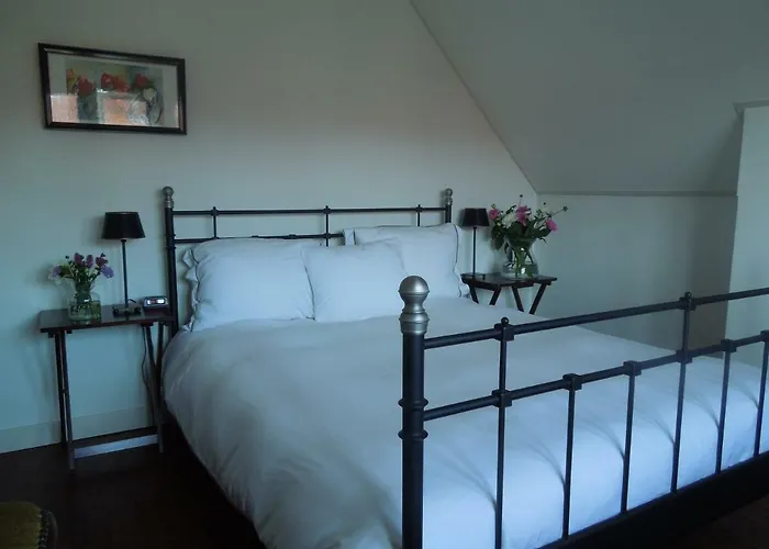 Frans Hals Bed & Breakfast Haarlem