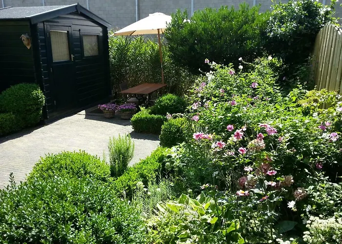 Bed & Breakfast Frans Hals Haarlem