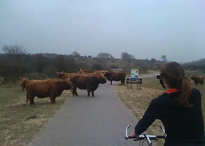 Frühstückspension Frans Hals